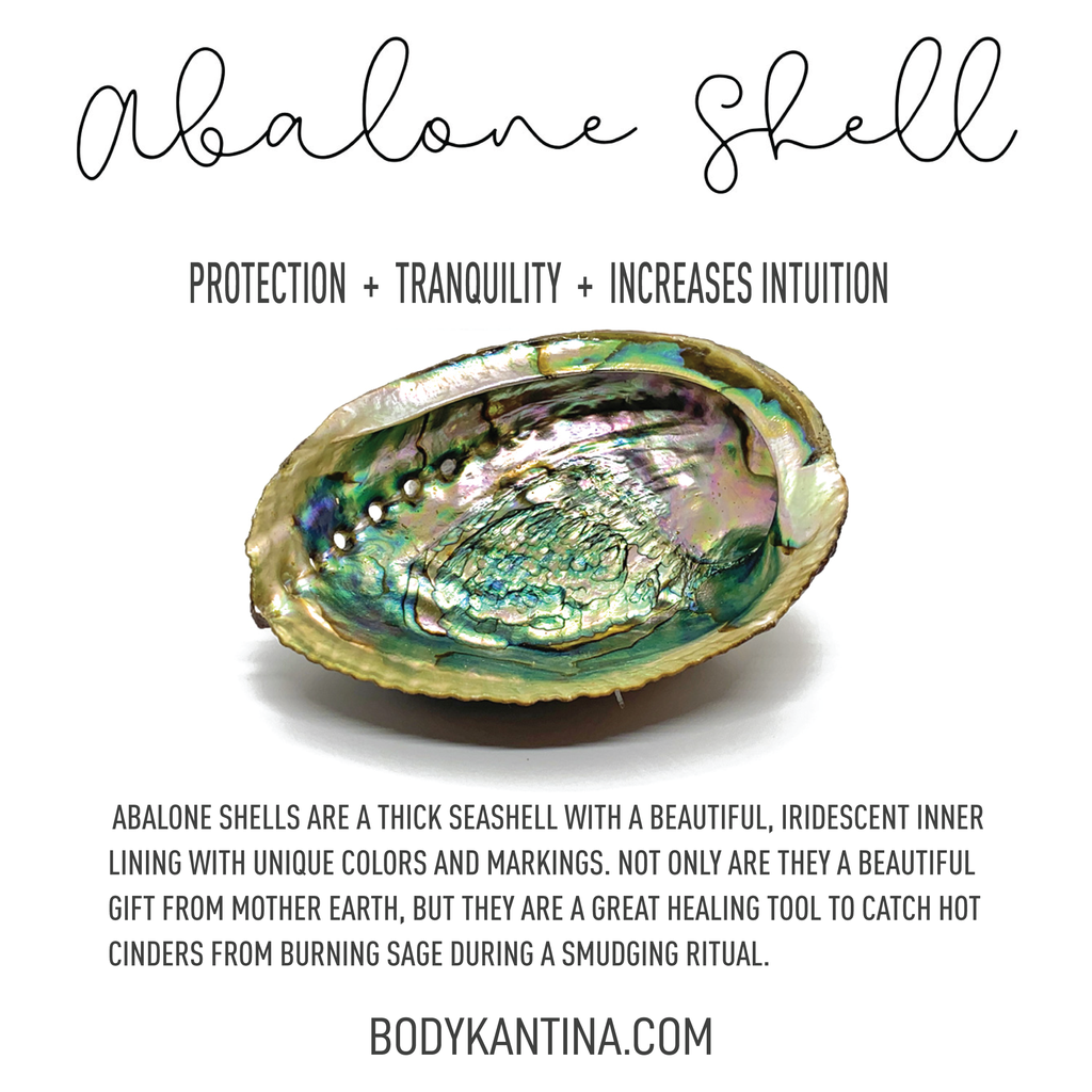 ABALONE SHELL