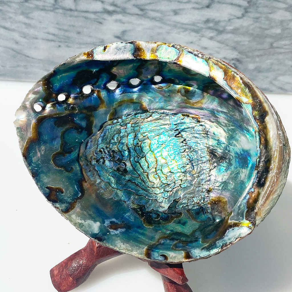 abalone shell, seashell, smudge bowl, sage, palo santo